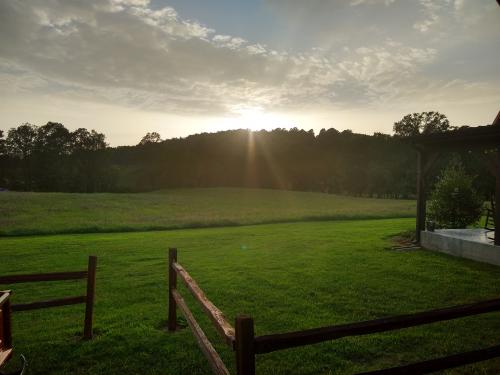 inbound4968594078221149518