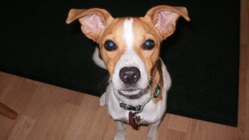 08:22:33 GMT-0500 (EST)