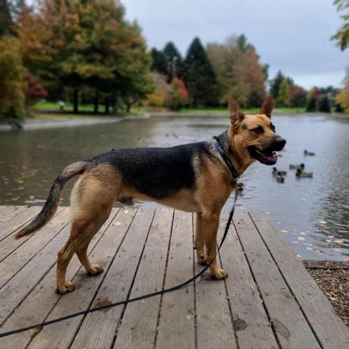 22:03:19 GMT-0800 (PST)