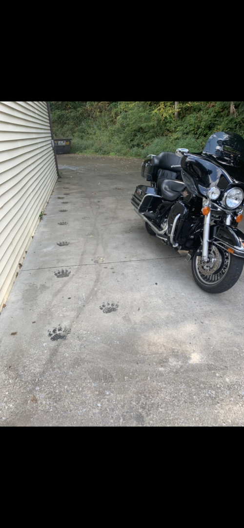 23:02:14 GMT-0500 (EST).image