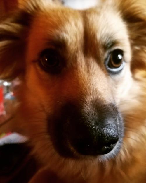 00:08:02 GMT+0100 (CET)