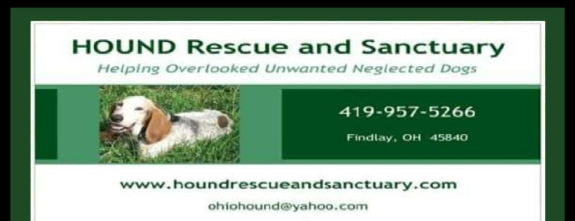 HOUND Rescue And Sanctuary