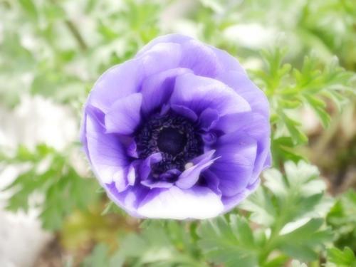 15:13:39 GMT-0800 (PST)