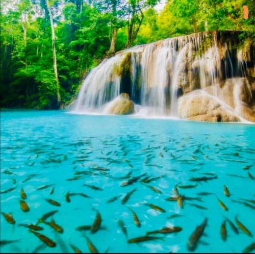 17:30:19 GMT+0100 (CET)