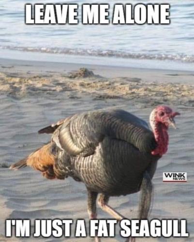 08:18:21 GMT-0700 (MST).image