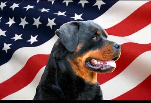 15:28:51 GMT-0500 (EST)