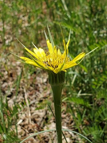 16:01:18 GMT-0800 (PST)