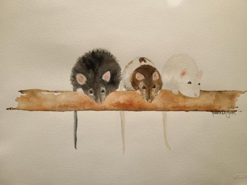 20:12:19 GMT-0700 (MST)