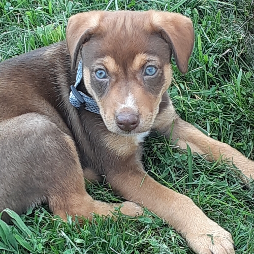 11:38:06 GMT-0500 (EST)