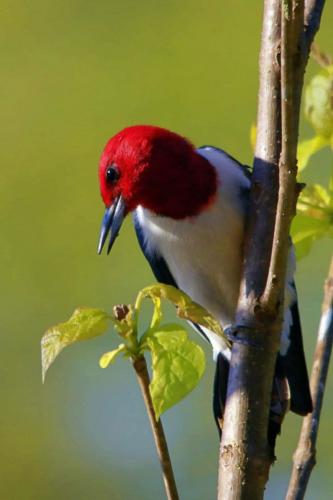 21:29:11 GMT-0600 (CST)