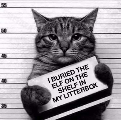 21:20:43 GMT-0500 (EST).image