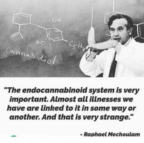 21:41:34 GMT-0600 (CST).image