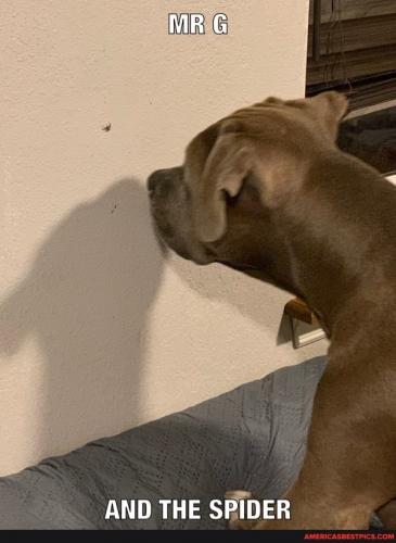 00:14:04 GMT-0600 (CST).image