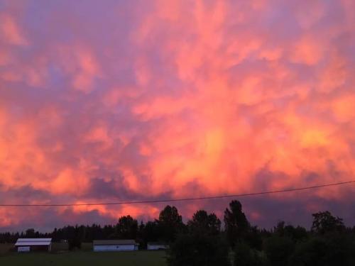 08:24:45 GMT-0800 (PST)