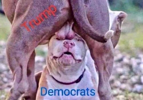 20:42:35 GMT-0500 (EST)