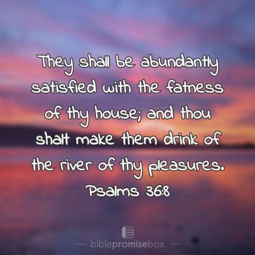 53F6ACA4-2039-44DE-9508-F47C25D8EE37