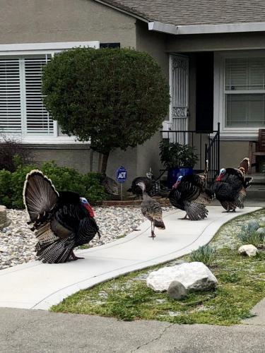 20:51:41 GMT-0800 (PST).image