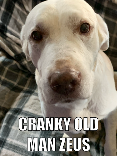 09:33:53 GMT-0600 (CST).image