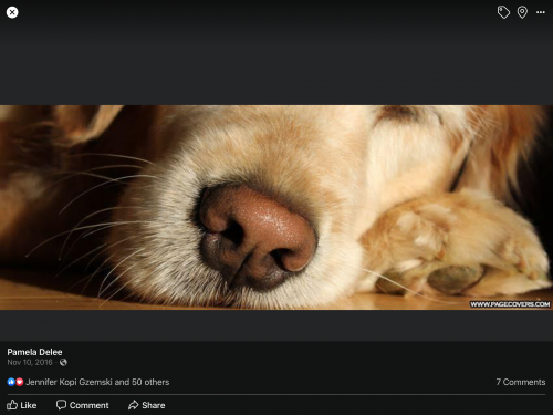 12:20:37 GMT-0500 (EST).image