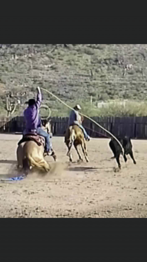 08:43:56 GMT-0600 (CST).image