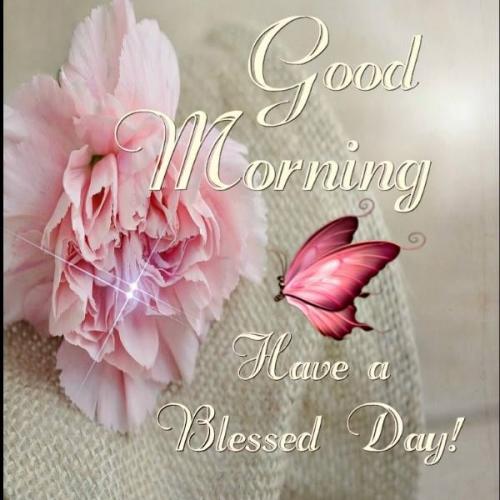 281490-Good-Morning-Have-A-Blessed-Day
