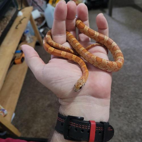 15:42:58 GMT-0500 (EST)