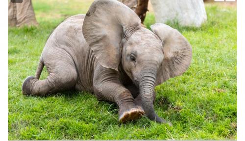 21:22:51 GMT-0600 (CST).image