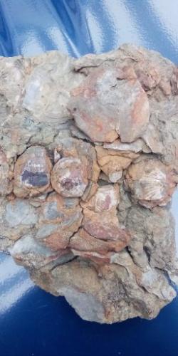 21:42:15 GMT-0600 (CST)