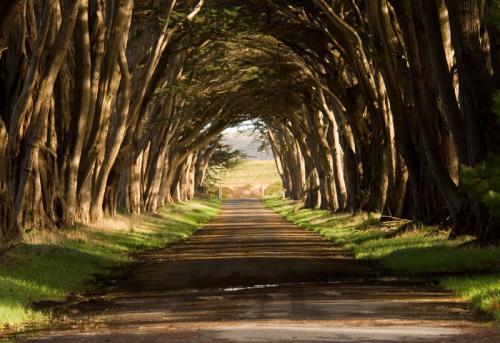 Tunnel - Seashore Cali
