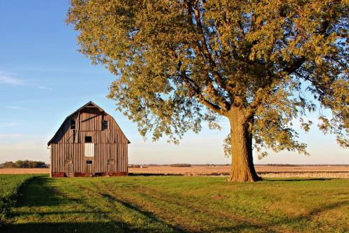 10572031_503913533116517_7406881765852660433_o