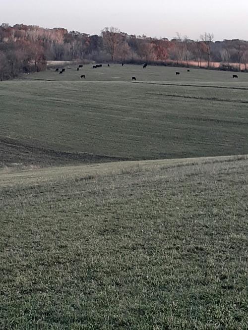 21:33:51 GMT-0600 (CST)