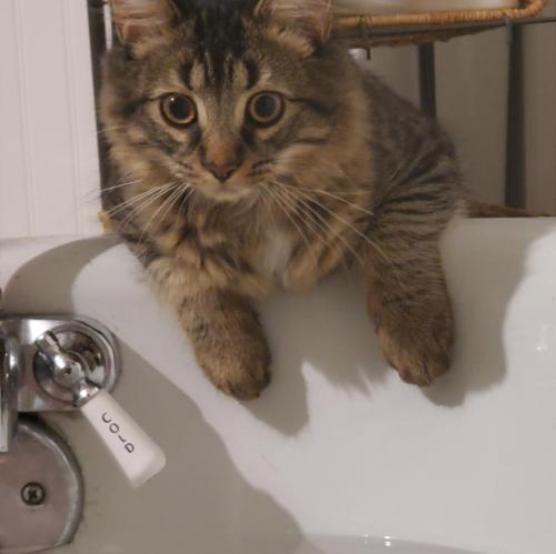 00:20:08 GMT-0500 (EST)