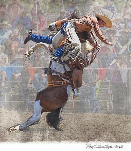 122425290_10214351168573250_423742226731294927_n