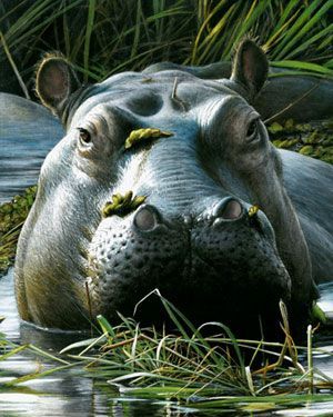 67f5bb21710db92208794955ff2043ab