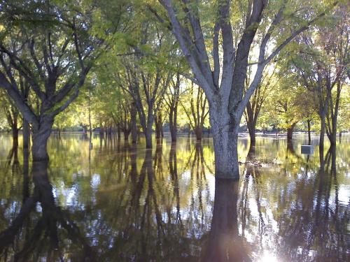 13:20:43 GMT-0600 (CST)