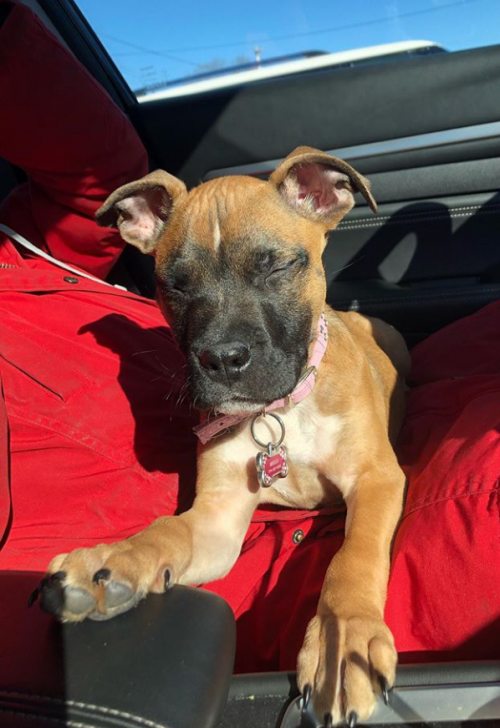 09:48:21 GMT+0100 (WAT).png