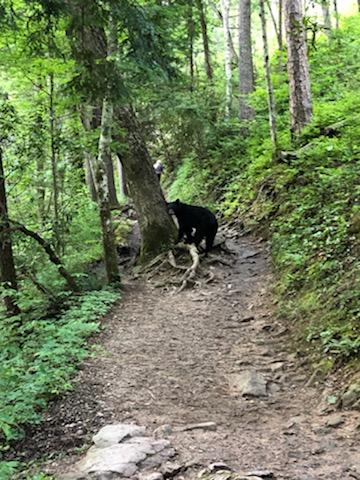 20:42:47 GMT-0500 (EST).image