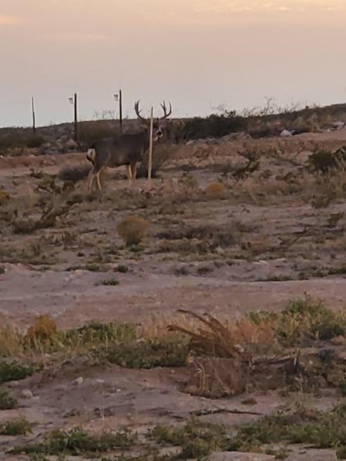 23:51:48 GMT-0600 (CST)