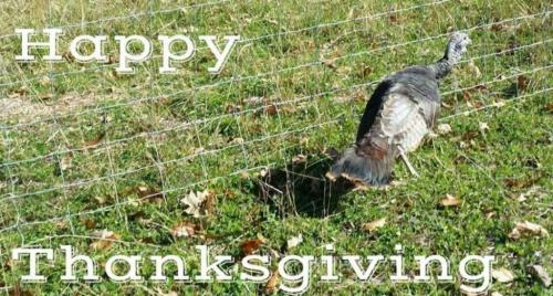 09:15:36 GMT-0500 (EST)