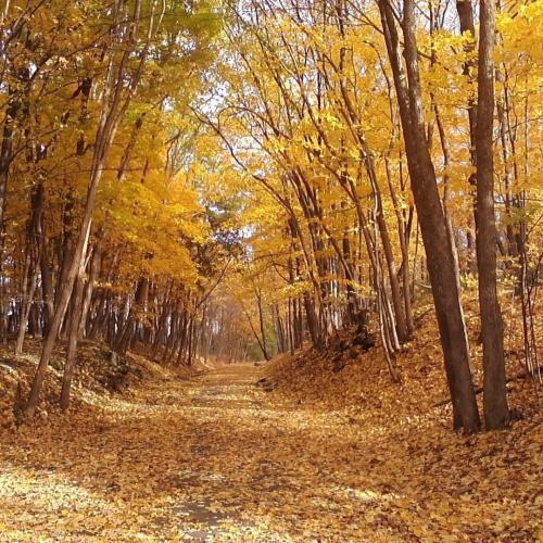 13:00:29 GMT-0500 (EST)