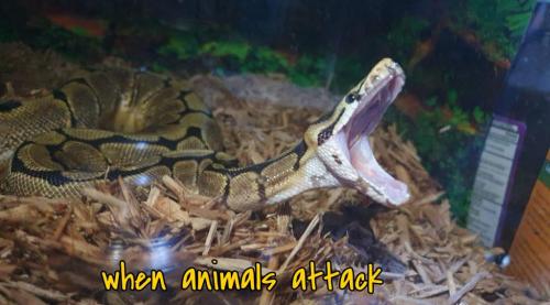 22:19:05 GMT-0500 (EST)