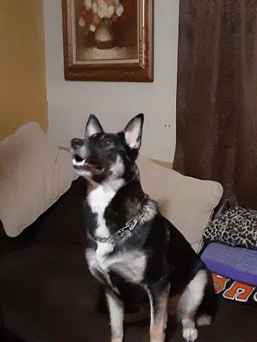 125258906_395951065182278_7020475050478291729_n