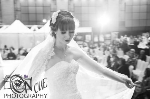 2017 ND Bridal Show00152