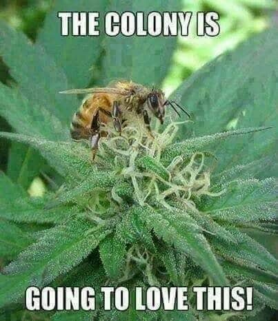 13:06:59 GMT-0500 (EST)