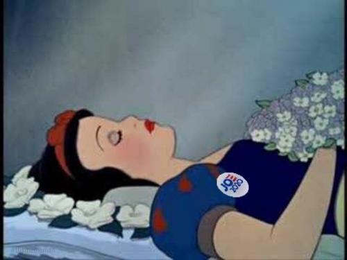 08:09:20 GMT+0000 (GMT).image