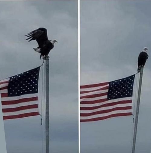 15:23:37 GMT-0500 (EST).image