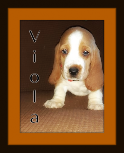 120598939-1774810579340182-4106745887941111173-n