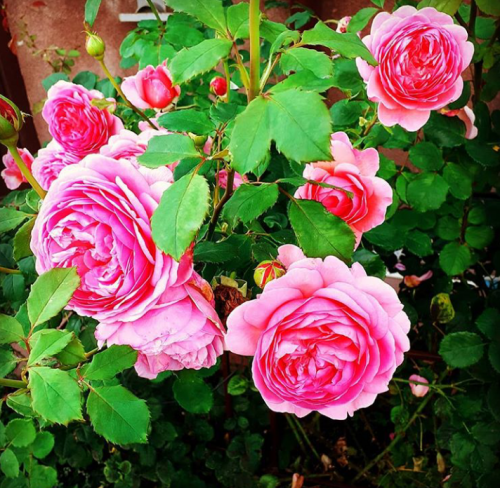 09:18:38 GMT+0100 (WAT).png