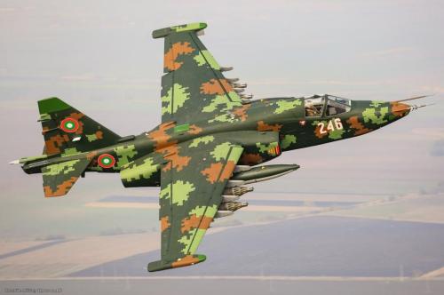 128662939_3340056972769327_7081371531951122521_o