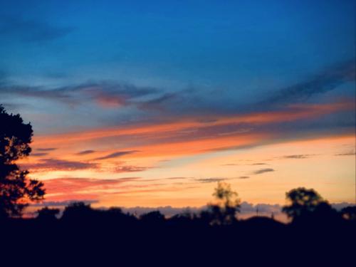 18:13:39 GMT-0600 (CST).image